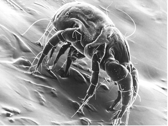 https://iaq.epa.gov.tw/indoorair/image/content/image003.gif