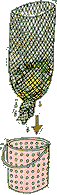 wܷN